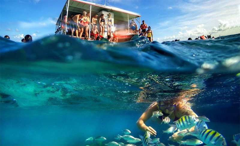 Parrachos de pirangi