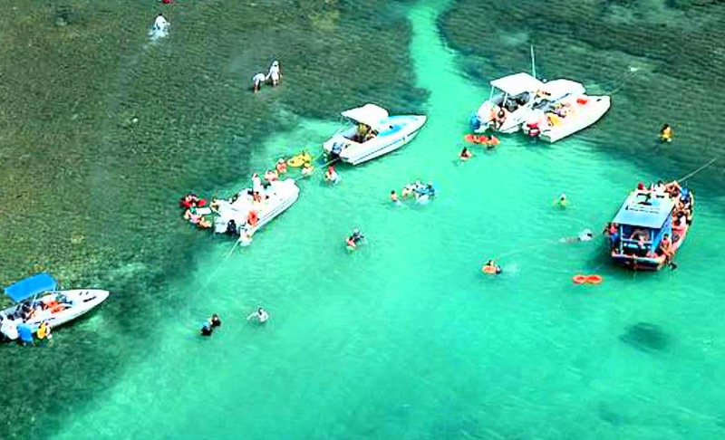 Parrachos de pirangi